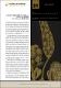 31-Joana-da-Flores-Duarte.pdf.jpg