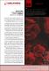 26-Pasqualina-Curcio-Curcio.pdf.jpg
